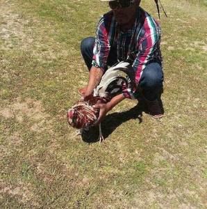 Meet your Posher, Joseph